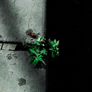 夫妻夜里看的AV
