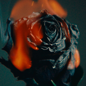 夫妻夜里看的AV
