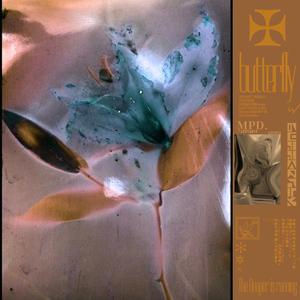 夫妻夜里看的AV
