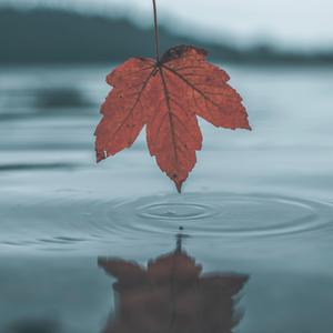 夫妻夜里看的AV
